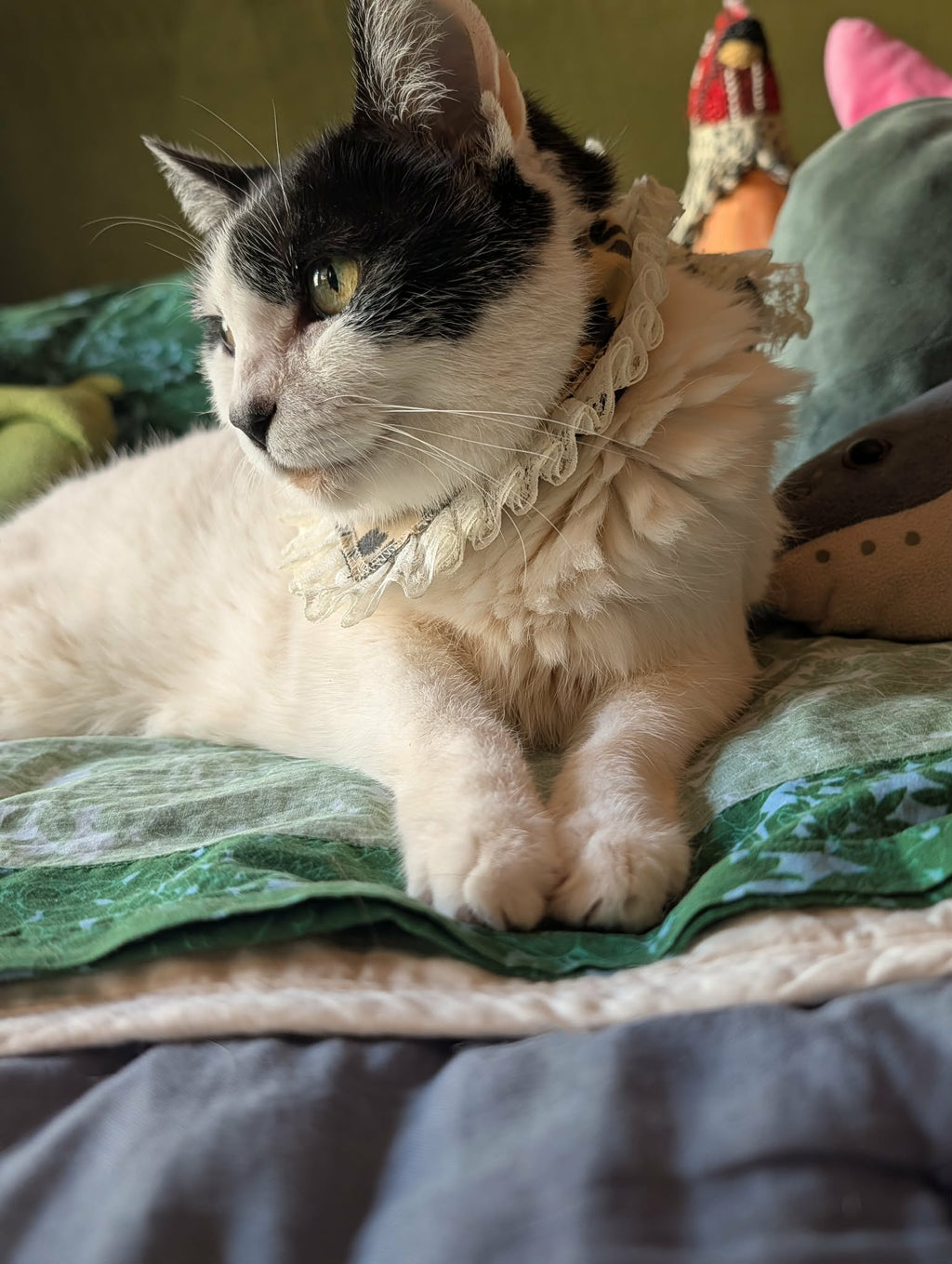 Cheetah Print & Lace Trim Small Pet Bandana