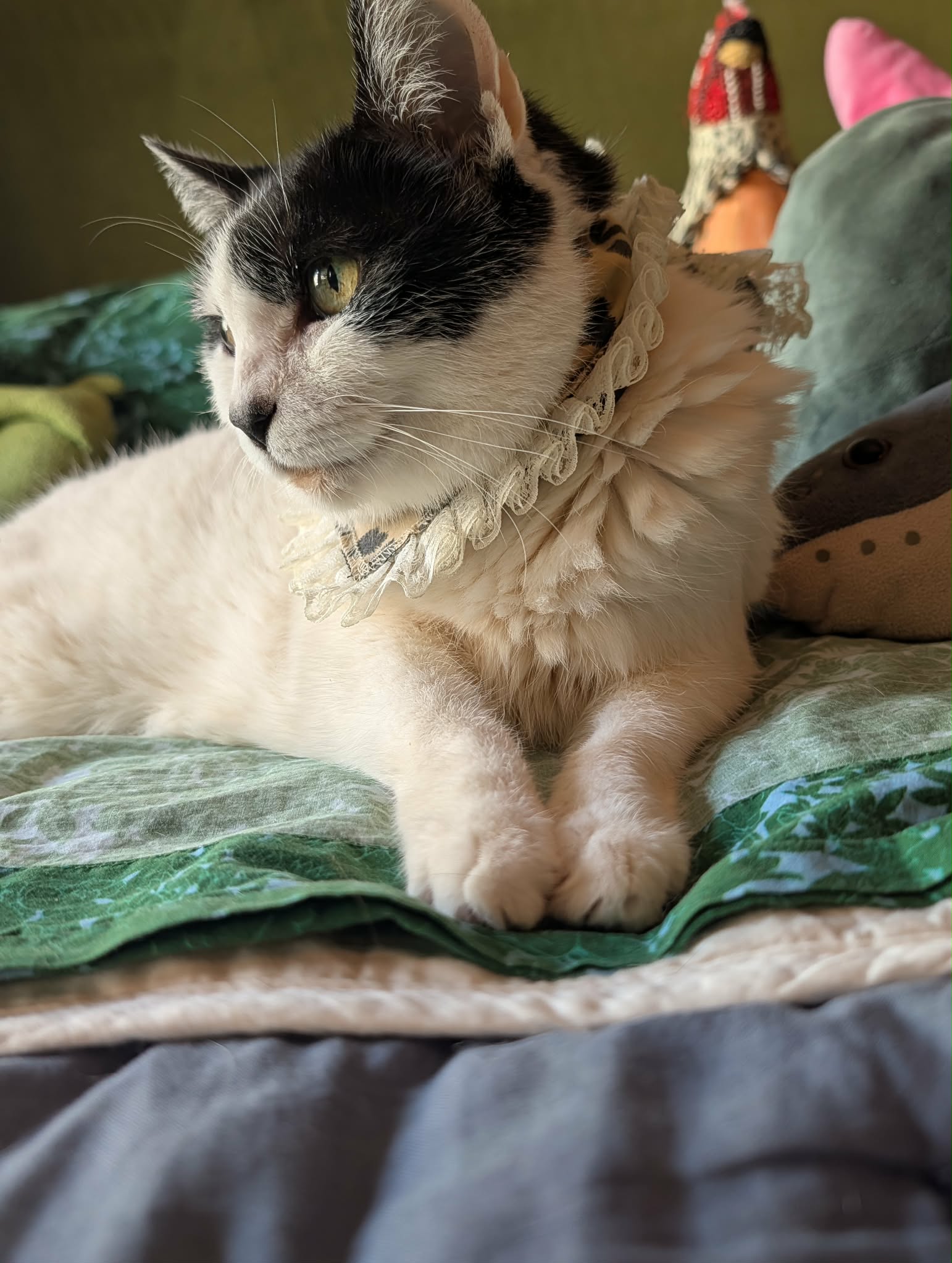 Cheetah Print & Lace Trim Small Pet Bandana